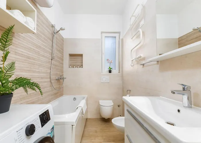 In Near Amphitheater Pula