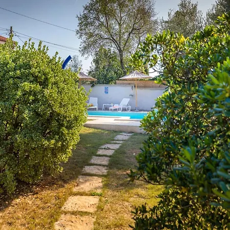 With Private Pool And Jacuzzi