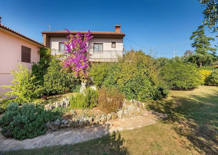 In Near Amphitheater * Pula